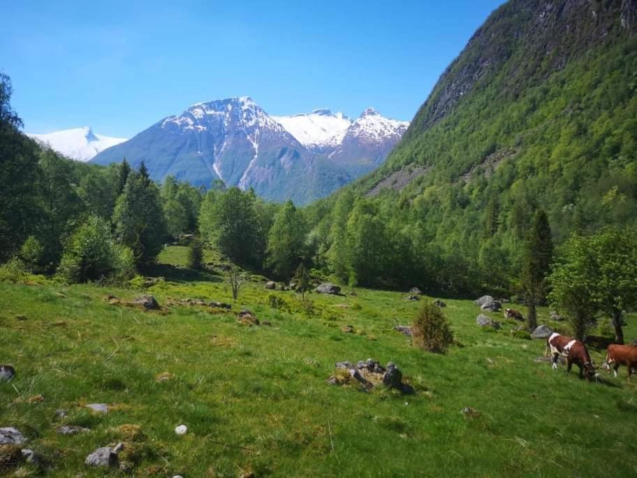 Sogndal Ski- And Mountain Cabin Zewnętrze zdjęcie